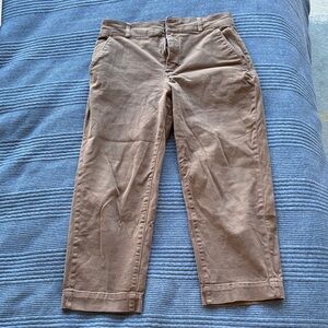 Everlane Organic Straight-Leg Brown / Cocoa Pants (14)